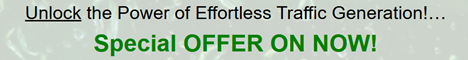 WP effortless traffic