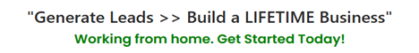 WP leads and income from home